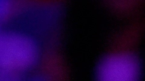 Stephen Miller hablaen un acto de campaña de Donald Trump en el Madison Square Garden, el domingo 27 de octubre de 2024, en Nueva York.