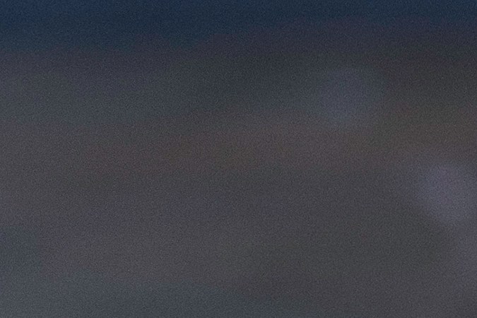 Hay varias formas de incluir la tuna en la alimentación como mermeladas, jugos, ensaladas, postres y más.