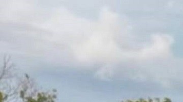 Cabeza humana encontrada en playa de Miami corresponde a joven hispano