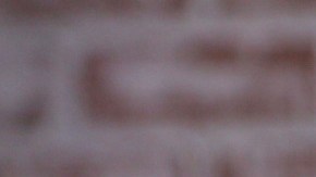 Victoria Kjaer Theilvig, Miss Universo 2024.