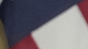 Dana White junto a Donald Trump.