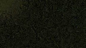 Ángela Aguilar posando.