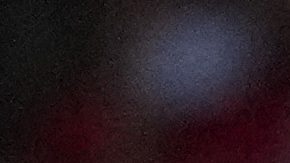 Hinchas del Atlético de Madrid durante un partido de Champions League.