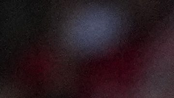 Hinchas del Atlético de Madrid durante un partido de Champions League.