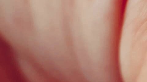 automoviles-aumento-de-precio-2019-2024