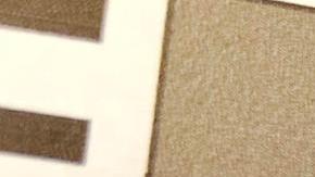 Los electores en Puerto Rico apoyaron mayoritariamente a Kamala Harris en la papeleta presidencial simbólica