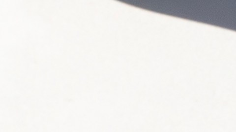 cupones-snap-1756-dolares-noviembre-2024