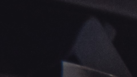 cupones-snap-diciembre-2024