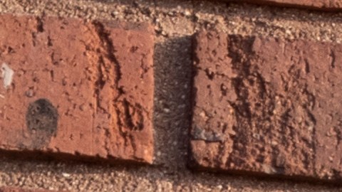 cupones-snap-pagos-diciembre-2024