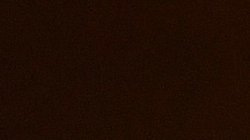 David era el hermano mayor de los 11 hermanos de Dolly.