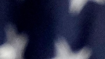 Trump asegura al presidente de Palestina que trabajará para terminar la guerra en Gaza