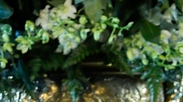 ¿Quién sería el secretario de Defensa de Estados Unidos en el nuevo gobierno de Trump?