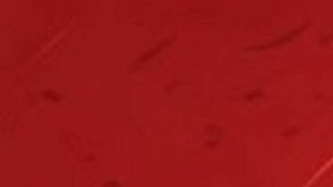 donald-trump-elon.musk-fortuna