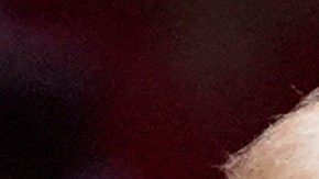 ¿Quiénes son los otros candidatos que intentarán vencer a Kamala Harris y Donald Trump?