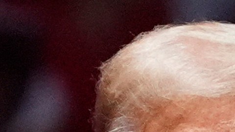 ¿Quiénes son los otros candidatos que intentarán vencer a Kamala Harris y Donald Trump?