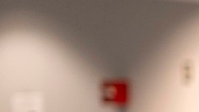 Centro Brennan: interferencia, desinformación y desafíos logísticos marcan las elecciones