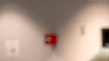 Centro Brennan: interferencia, desinformación y desafíos logísticos marcan las elecciones