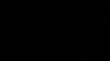 Campaña Harris-Walz reporta alta participación puertorriqueña en Filadelfia