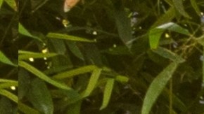 Si necesitas un ecopatio, Walmart tiene uno con "megaoferta" (la imagen es referencial, no es el producto real).