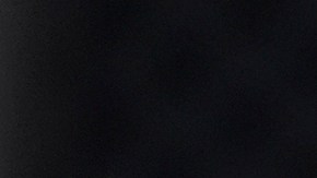 Kamala Harris: campaña admite elección ajustada "increíblemente" y pide calma