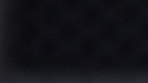 Kamala Harris: campaña admite elección ajustada "increíblemente" y pide calma
