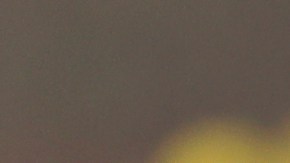 Brad Pitt fue uno de los famosos que acompañó a Leonardo DiCaprio.