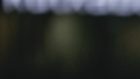 El delantero del Barcelona Robert Lewandowski, durante el partido de LaLiga entre Real Sociedad y FC Barcelona.