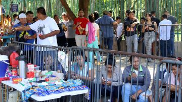 Migrantes hacen fila en estaciones migratorias este lunes, en el municipio de Tapachula en el estado de Chiapas (México).