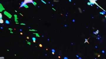 La ganadora de Miss Universe Latina, el reality, recibirá un pase directo al concurso en 2025.