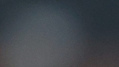 Jugadores de Países Bajos celebran un gol en el partido ante Bosnia-Herzegovina.