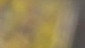 Abdi Nageeye, of the Netherlands, crosses the finish line to win the men's division of the New York City Marathon, Sunday, Nov. 3, 2024, in New York. (AP Photo/Frank Franklin II)