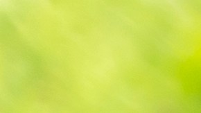 nina-cabra-demanda-300-mil-dolares