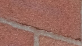 El pago del Seguro Social beneficia a millones de jubilados, incluyendo los mayores de 65 años o con discapacidades.