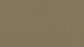 Algunas comidas pueden absorber partículas de papel aluminio.