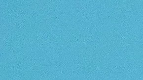 Peso Pluma venció en la categoría a Shakira, Anitta y Bad Bunny.