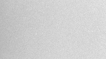 Rico Carty en 1976. durante su tiempo con los Cleveland Indians.