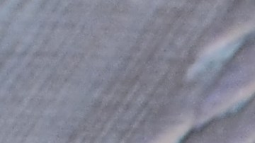 Aprende tres deliciosas formas de usar el arroz sobrante