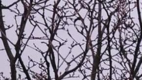 Una fotografía facilitada por el Servicio Estatal de Emergencias muestra a los rescatistas ucranianos trabajando en el lugar del ataque con misiles en Dnipro, Ucrania, el 21 de noviembre de 2024 en medio de la invasión rusa.