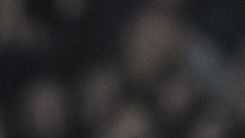 Santiago Gimenez durante un partido con el Feyenoord.
