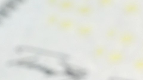 seguro-social-4873-dolares-pago-noviembre-2024