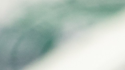 seguro-social-aumento-pagos-2024