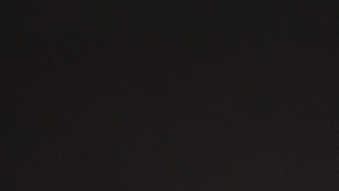 seguro-social-pagos-4873-dolares