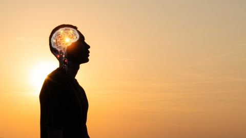 Brain,Nervous,System,Concept.,Thinking,Processes,And,Psychology,,Deep,Learning,