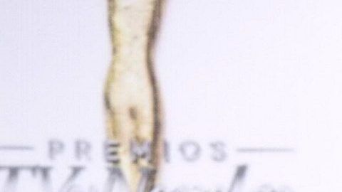 Sofía confesó que el camino hacia el altar ha estado marcado por una mezcla de emociones complejas.