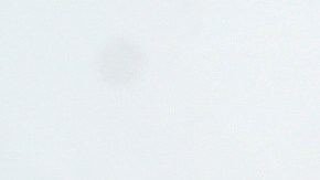 Las palabras de Sylvia Pasquel resonaron entre los seguidores de la familia Pinal.