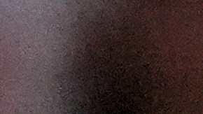 Marjorie Taylor Greene encabezará un subcomité del Departamento de Eficiencia Gubernamental (DOGE).