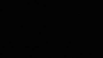 Tim Walz acepta la derrota y pide recuperar fuerzas para enfrentar nuevo mandato de Trump