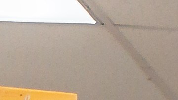 trader-joes-secretos