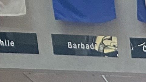 Votantes en una mesa electoral en NYC/Archivo.