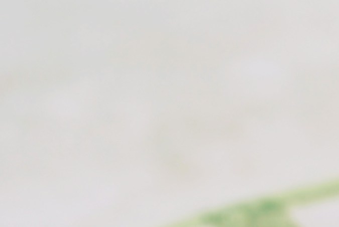 Los productos de zanahorias fueron enviados a varios estados del país.